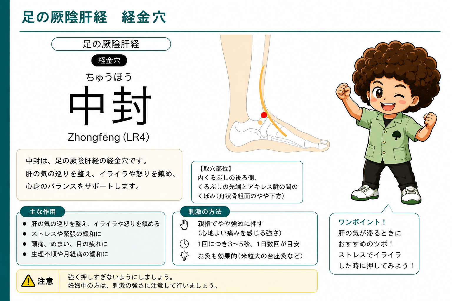 中封（LR4）— 内果の後ろ側、くるぶし先端とアキレス腱の間のくぼみ