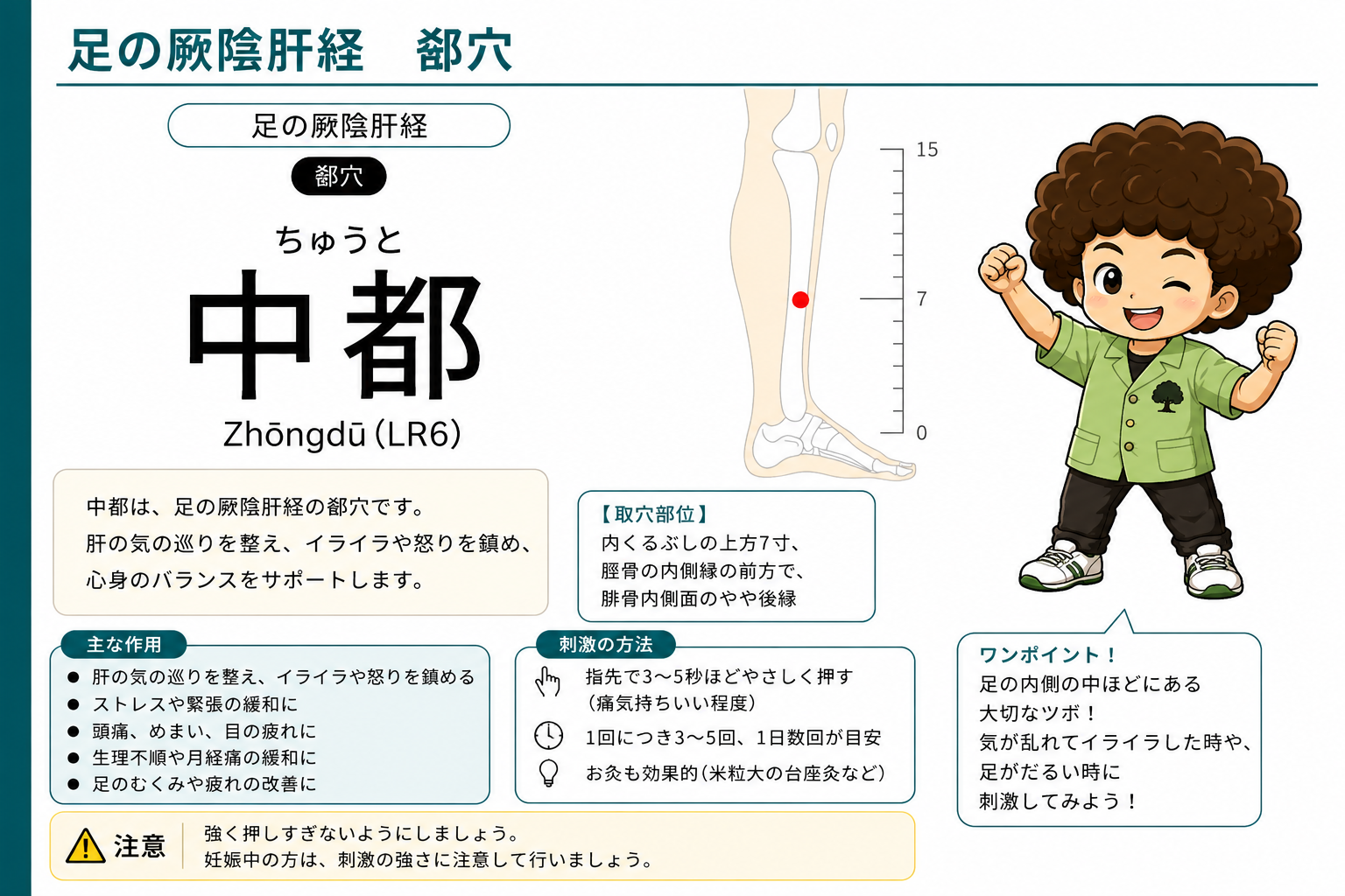 中都（LR6）— 内果の上方7寸。郄穴。刺激は3〜5秒・1日数回が目安