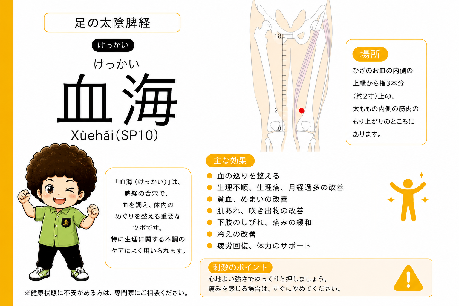 血海（SP10）はひざのお皿の内側の上縁から指3本分（約2寸）上、太ももの内側の筋肉のもり上がり。