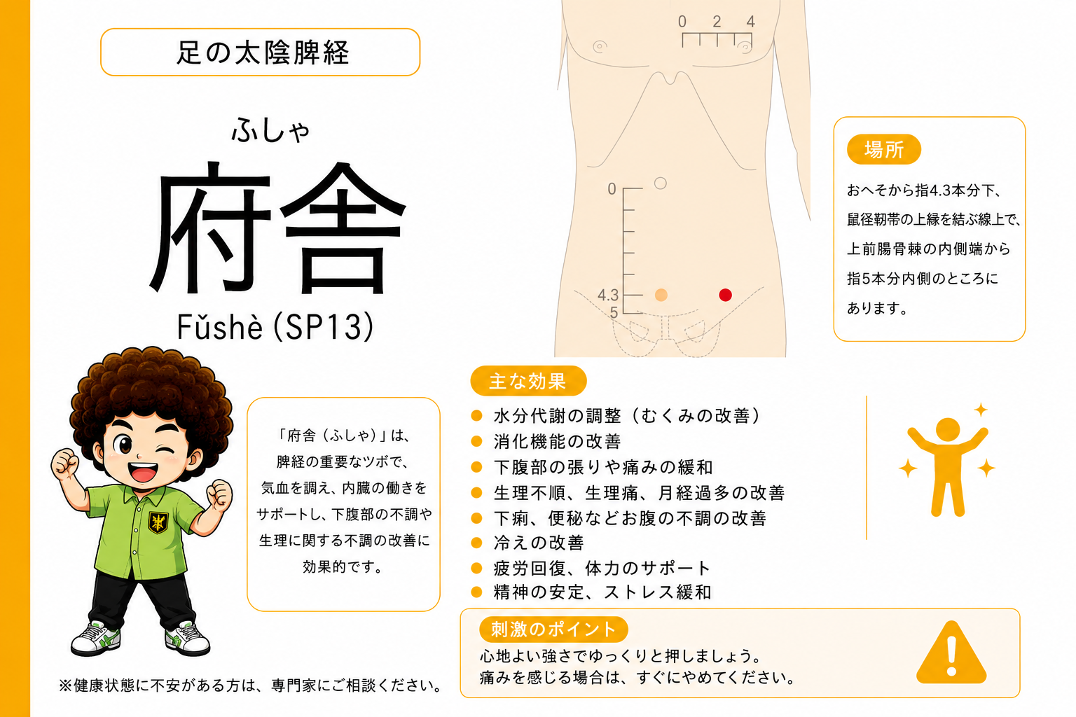 府舎（SP13）はおへそから指4.3本分下、上前腸骨棘の内側端から指5本分内側。