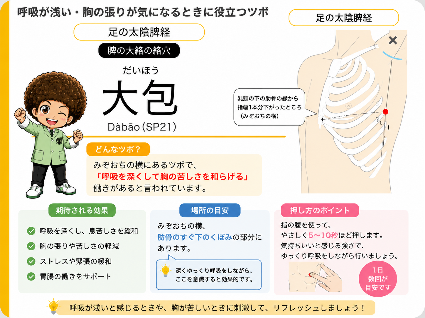 大包（SP21）は脾の大絡の絡穴。乳頭の下の肋骨の縁から指幅1本分下がったところ。