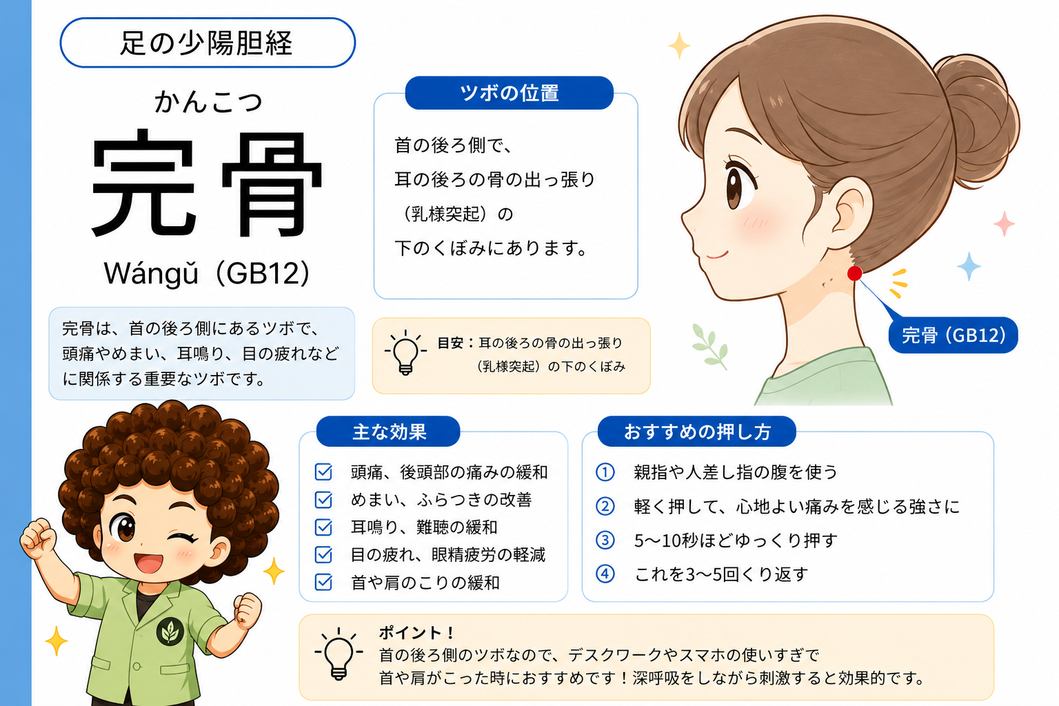 完骨（GB12）— 乳様突起（耳の後ろの骨の出っ張り）の下のくぼみ