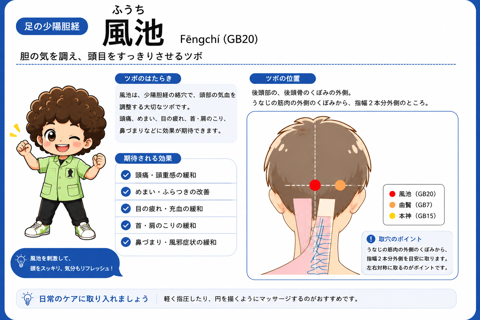風池（GB20）— うなじの筋肉の外側のくぼみから指幅2本分外側