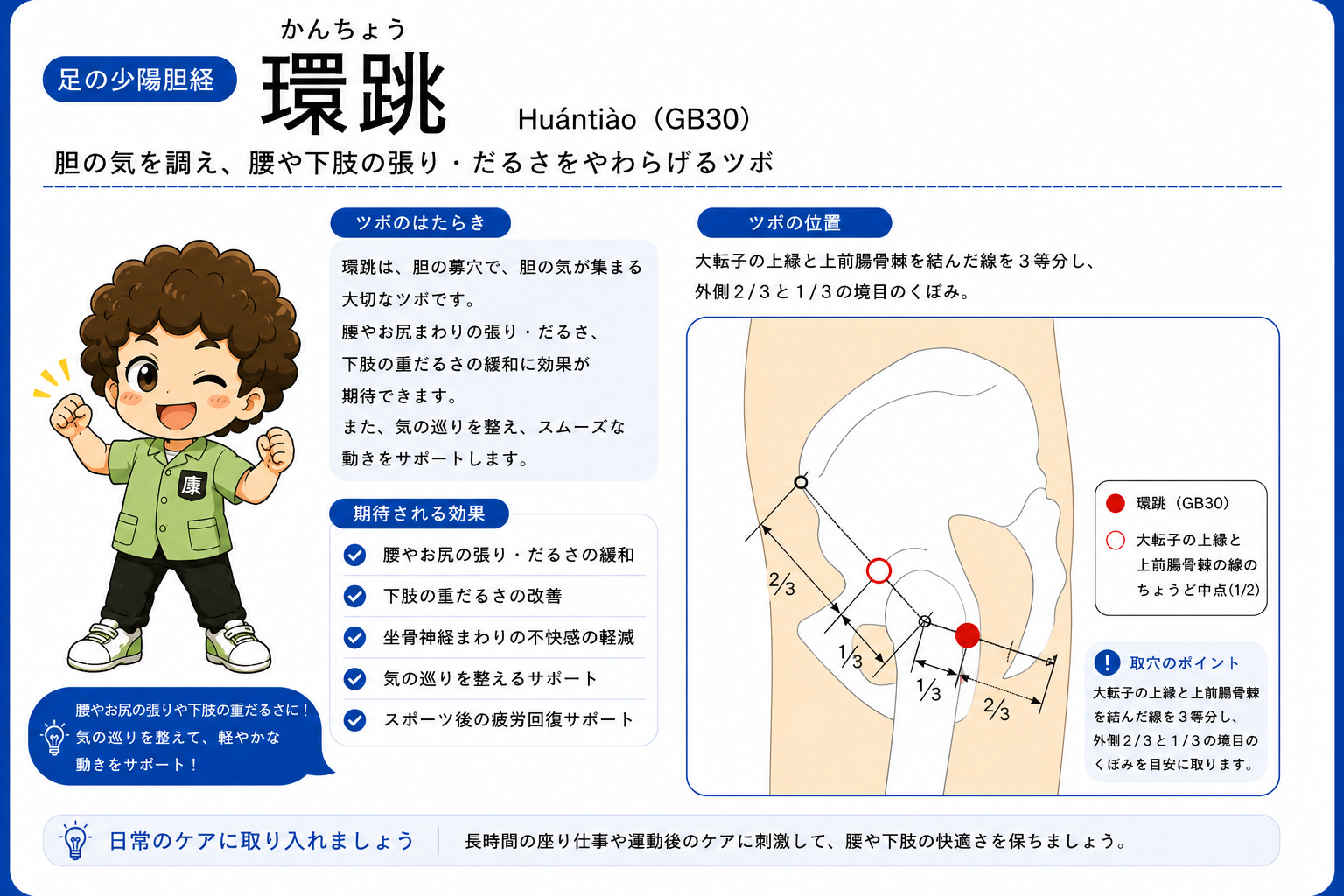 環跳（GB30）— 大転子の上縁と上前腸骨棘を結ぶ線の外側2/3と1/3の境目