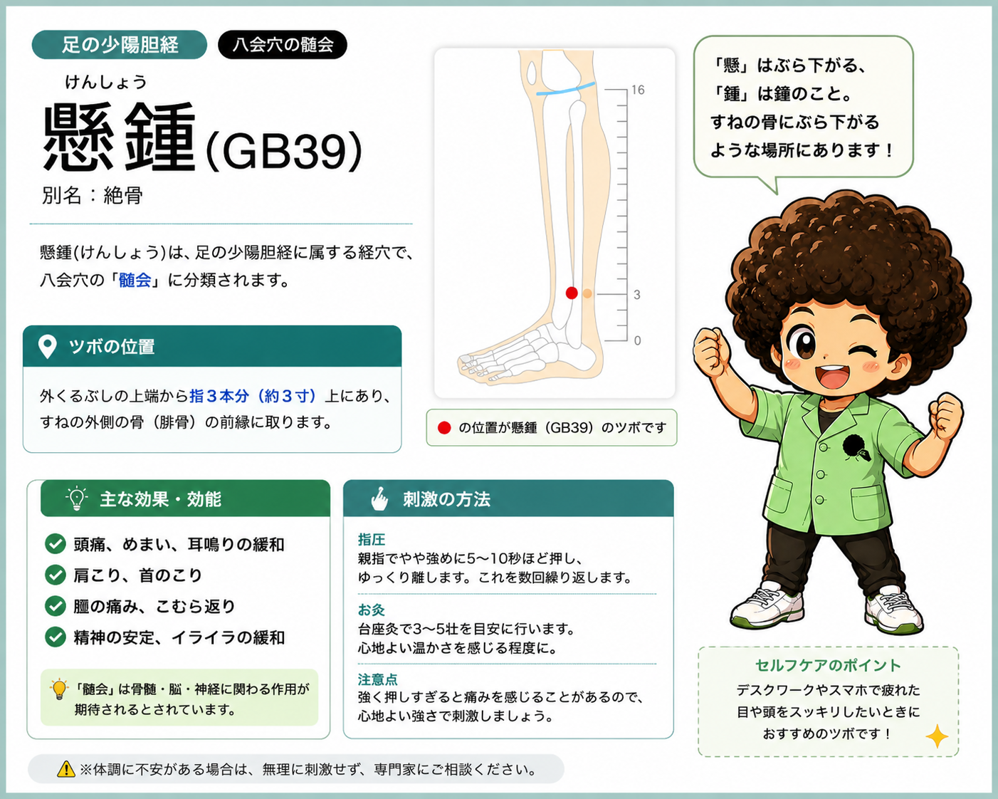懸鍾（GB39）— 別名「絶骨」。八会穴の髄会で、外くるぶしの上端から指3本分（約3寸）