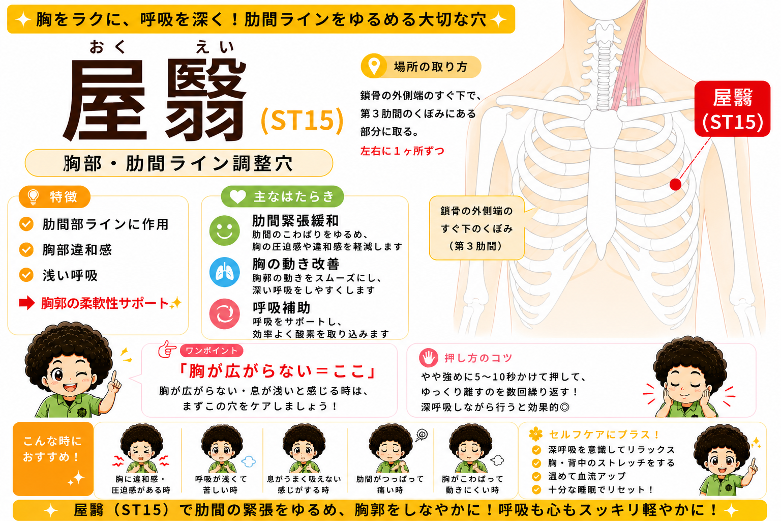屋翳（ST15）の位置。鎖骨の外側端のすぐ下、第3肋間のくぼみ
