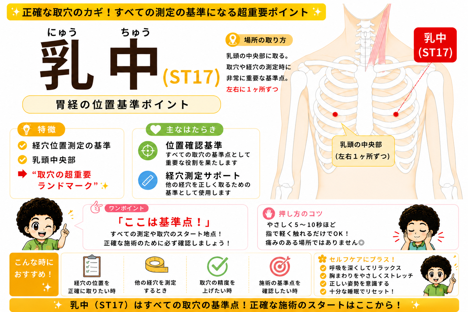 乳中（ST17）は乳頭の中央部。胃経の位置基準ポイントで、すべての取穴・測定のランドマークになる