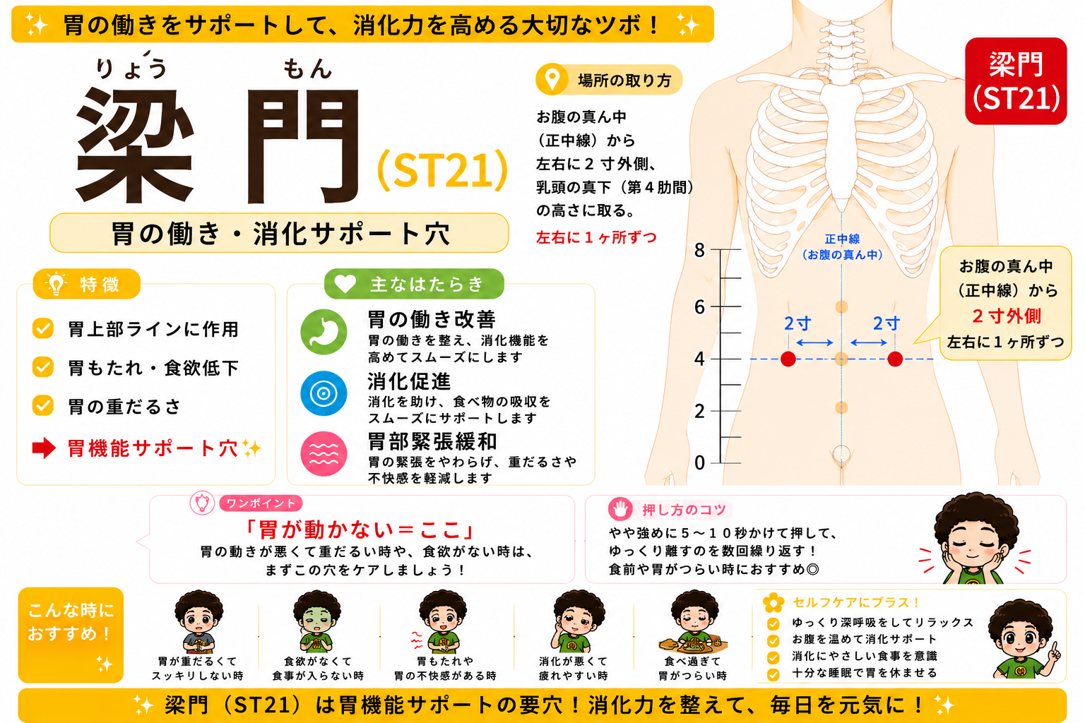 梁門（ST21）の取り方。お腹の真ん中（正中線）から左右2寸外側のラインに取る