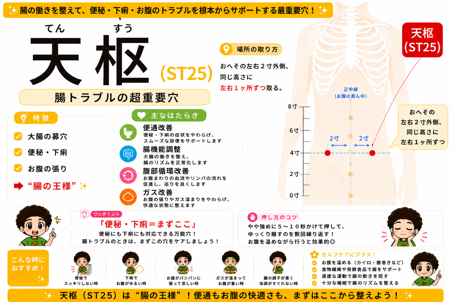 天枢（ST25）はおへその左右2寸外側・同じ高さ。大腸の募穴で腸トラブルの超重要穴