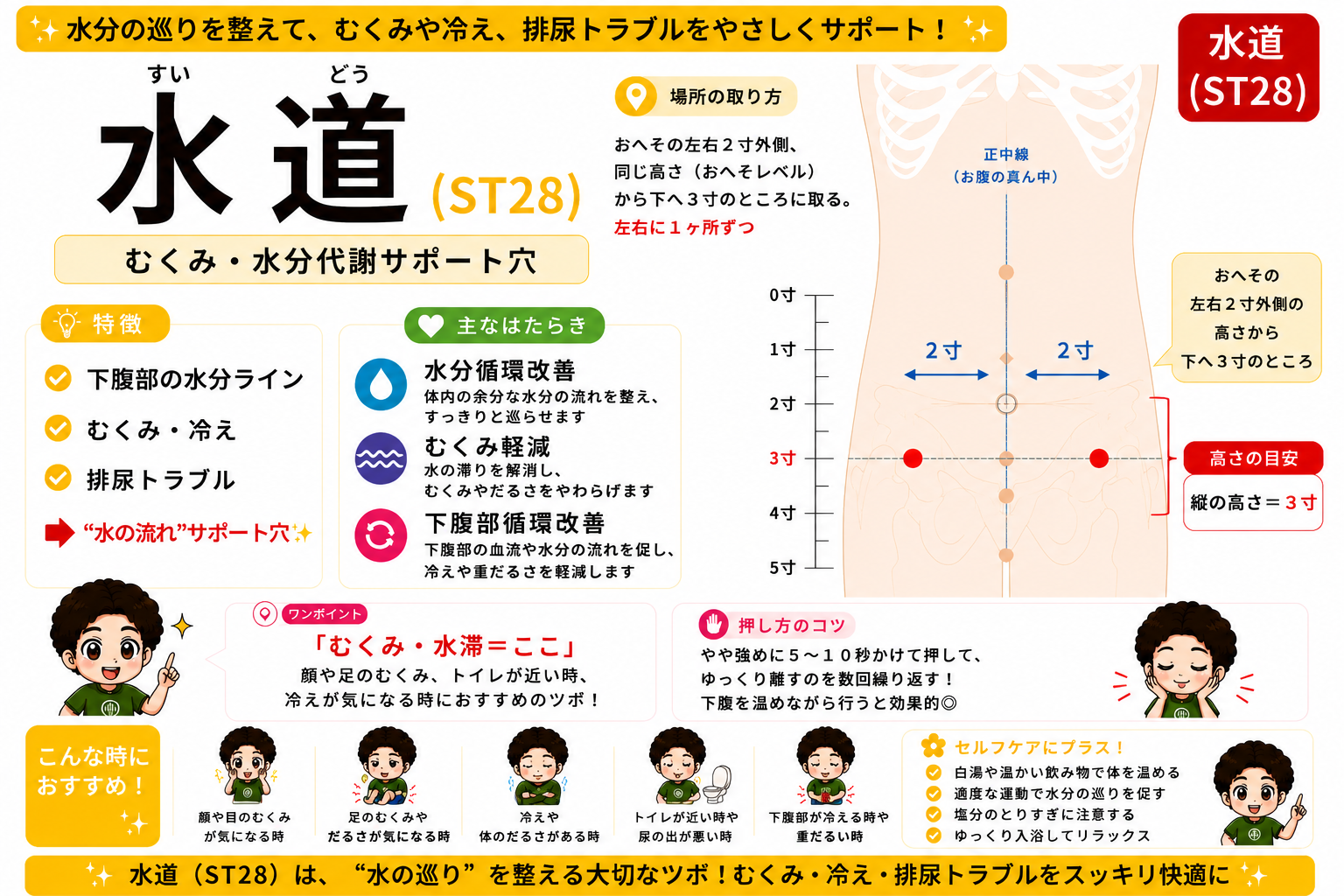 水道（ST28）はおへその左右2寸外側の高さから下へ3寸。“水の巡り”を整えるむくみ・水分代謝サポート穴