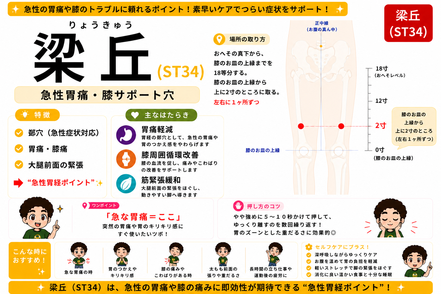 梁丘（ST34）の取り方 — おへそ〜膝蓋骨上縁18寸の骨度で、上縁から上に2寸