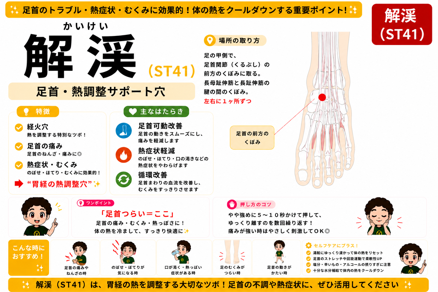 解渓（ST41）— 足首関節前方、長母趾伸筋と長趾伸筋の腱の間のくぼみ