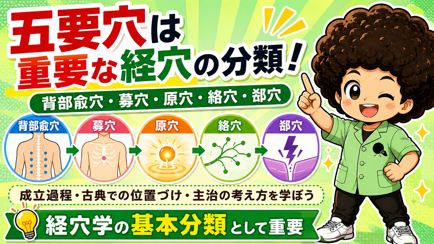 五要穴＝背部兪穴・募穴・原穴・絡穴・郄穴。経穴学の基本分類