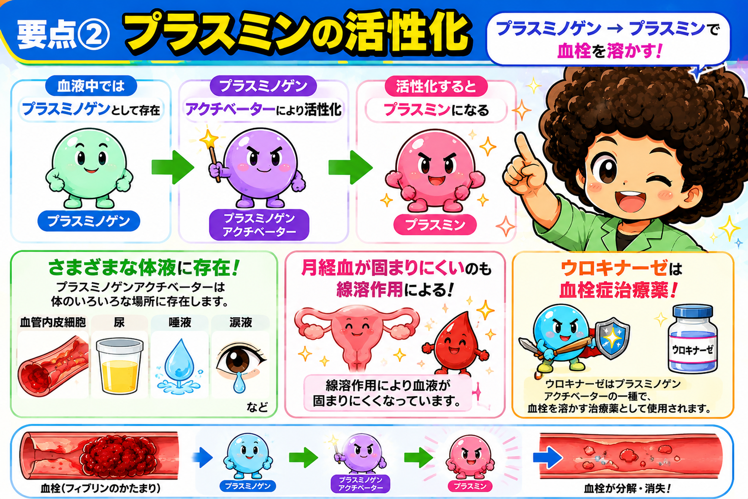 プラスミノゲン→（アクチベーター）→プラスミンで血栓が分解・消失する