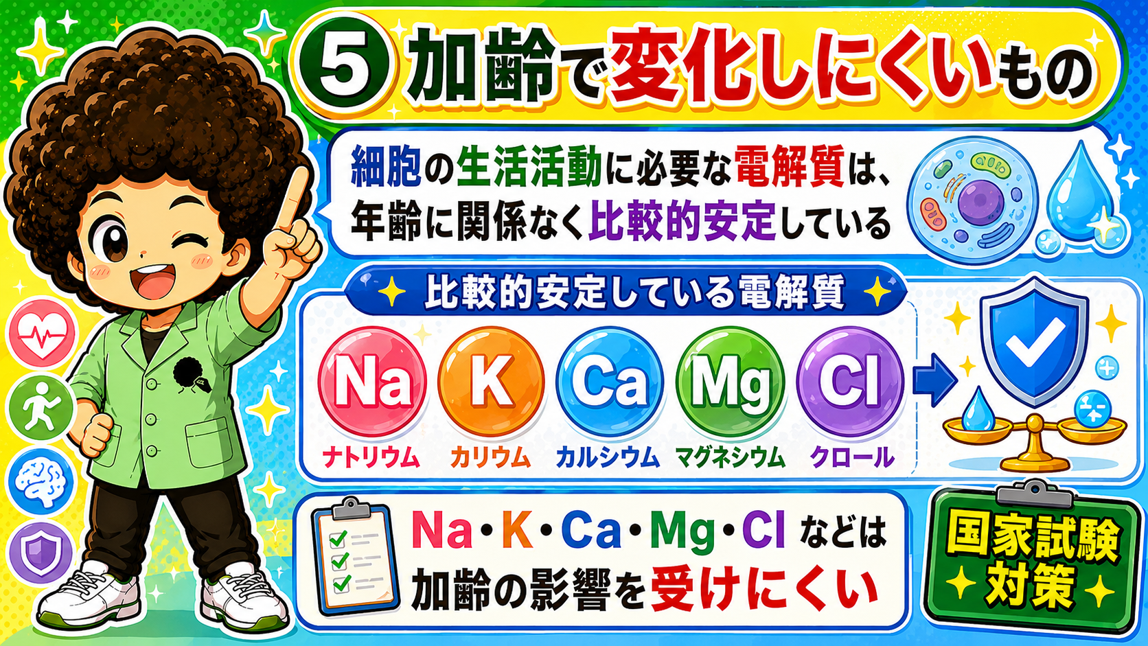 Na・K・Ca・Mg・Clなどは加齢の影響を受けにくい