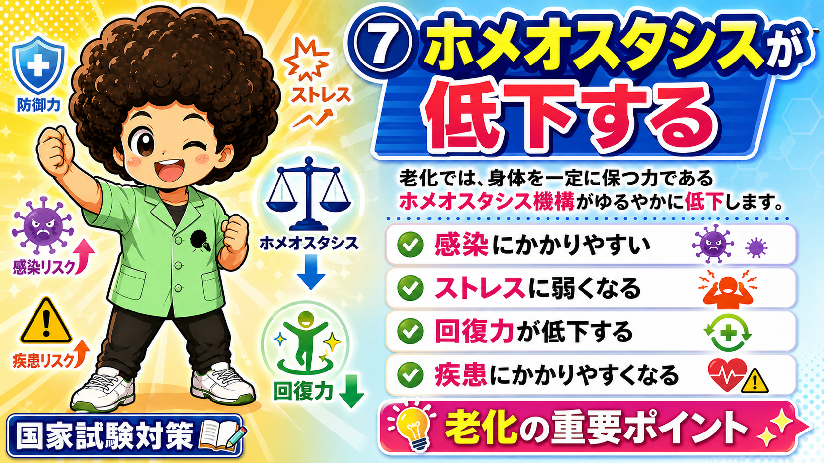 老化ではホメオスタシス機構がゆるやかに低下する