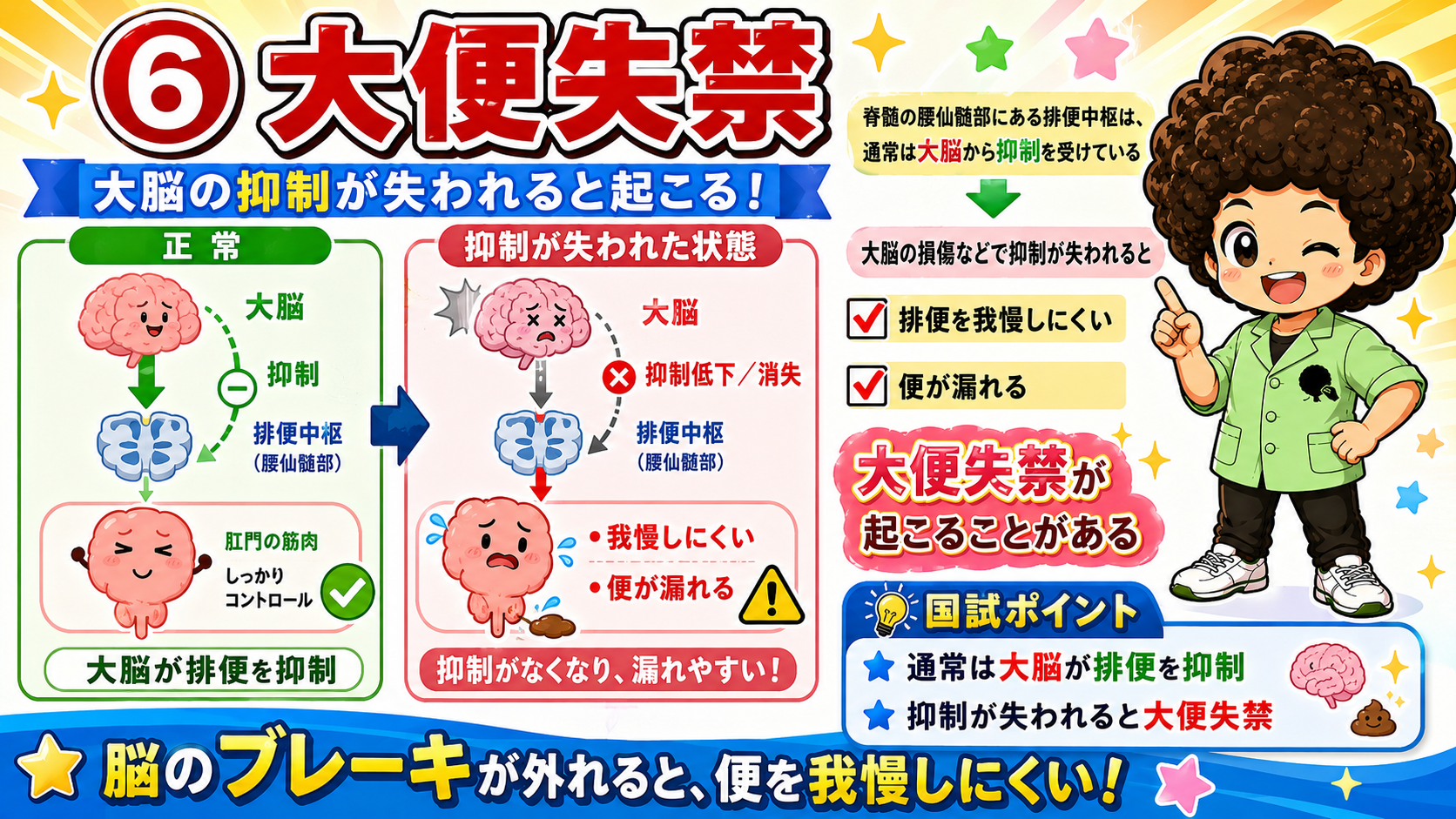 大脳の抑制が失われると大便失禁が起こる