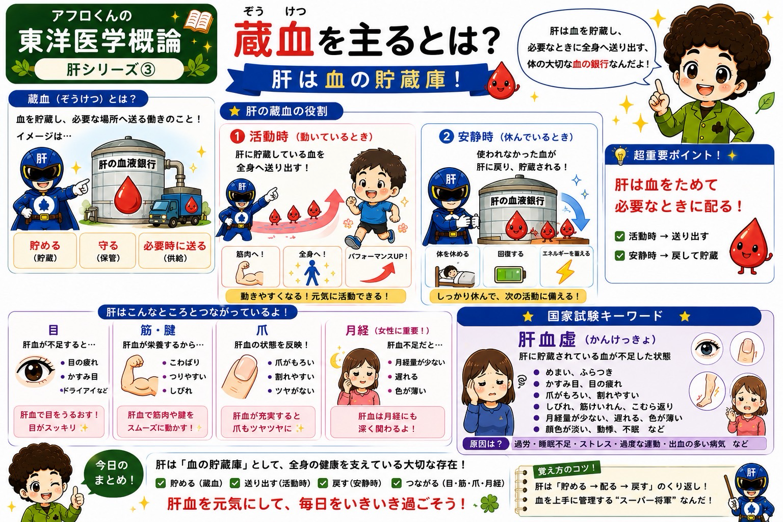 蔵血＝血の貯蔵庫。活動時は送り出し、安静時は戻して貯蔵する