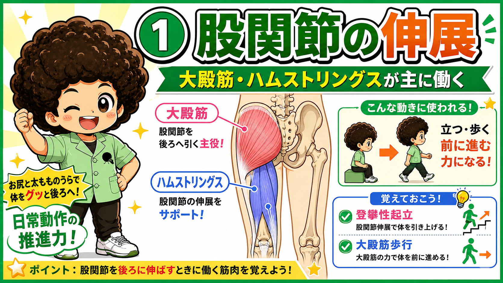 股関節の運動学と臨床｜股関節の運動学と臨床 1