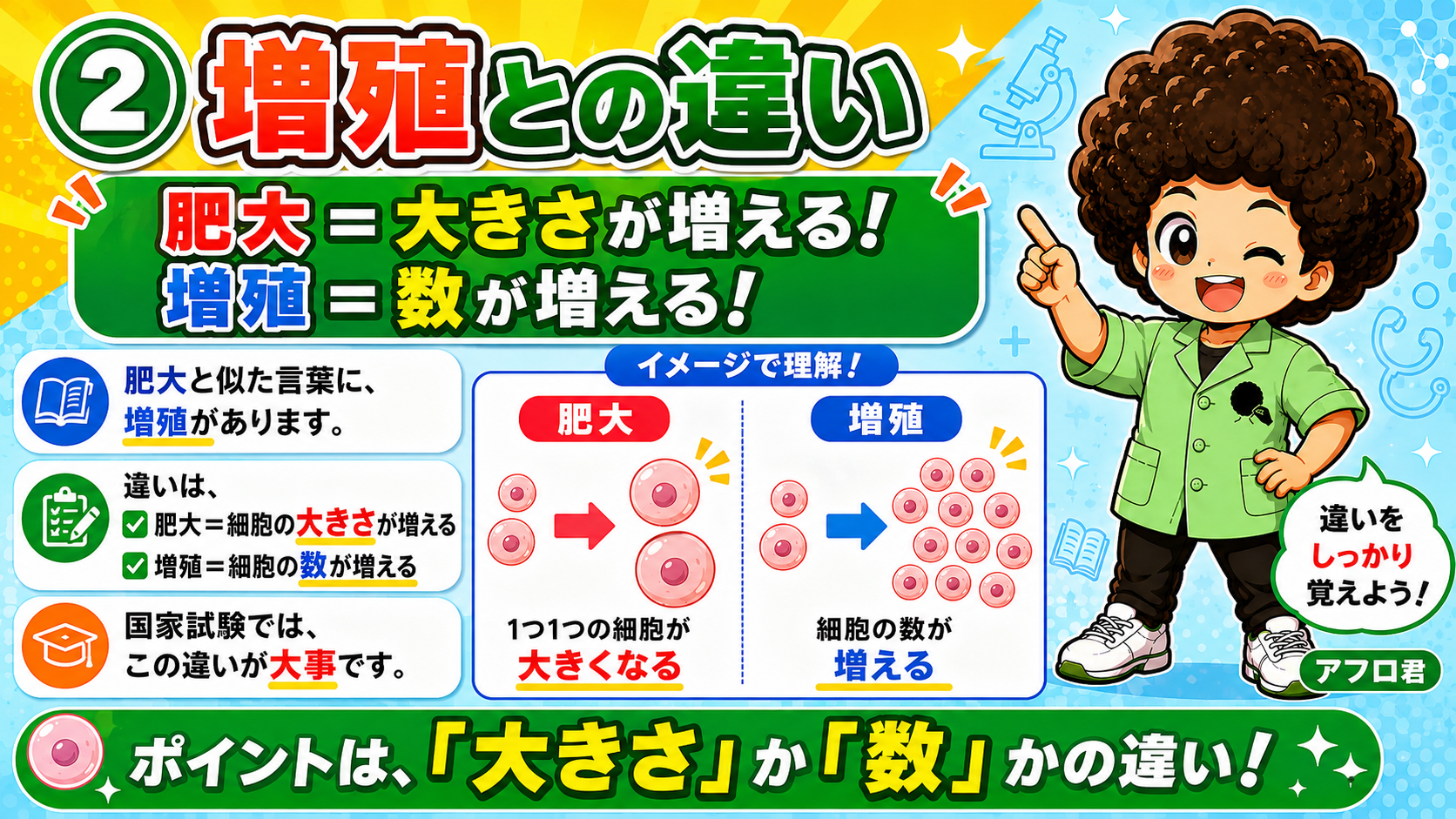 ポイントは「大きさ」か「数」かの違い