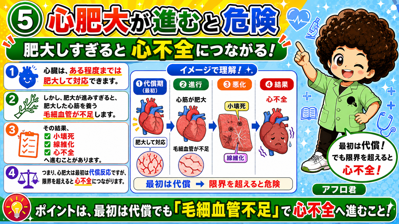 心肥大は最初は代償。毛細血管不足から心不全へ進む