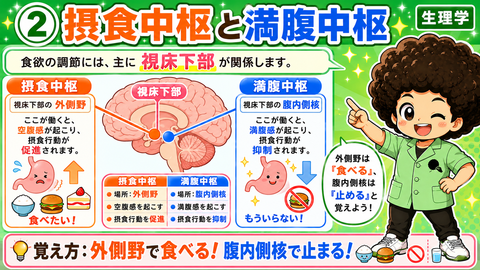 摂食の調節・肥満・メタボリックシンドローム｜摂食の調節・肥満・メタボリックシンドローム 1