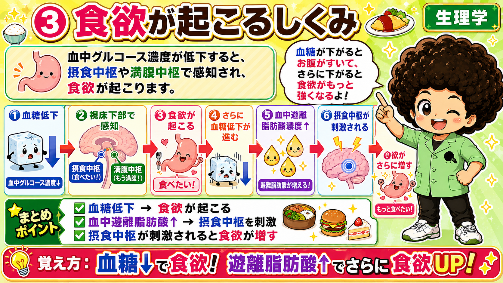 血糖低下→遊離脂肪酸上昇→摂食中枢刺激の流れ