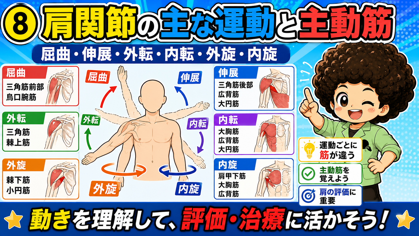 肩関節の6運動と主動筋。運動ごとに働く筋が違う点が国試の狙い目
