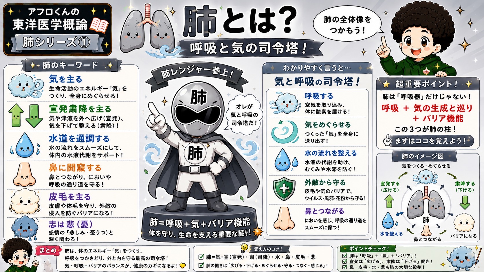 肺｜肺 1
