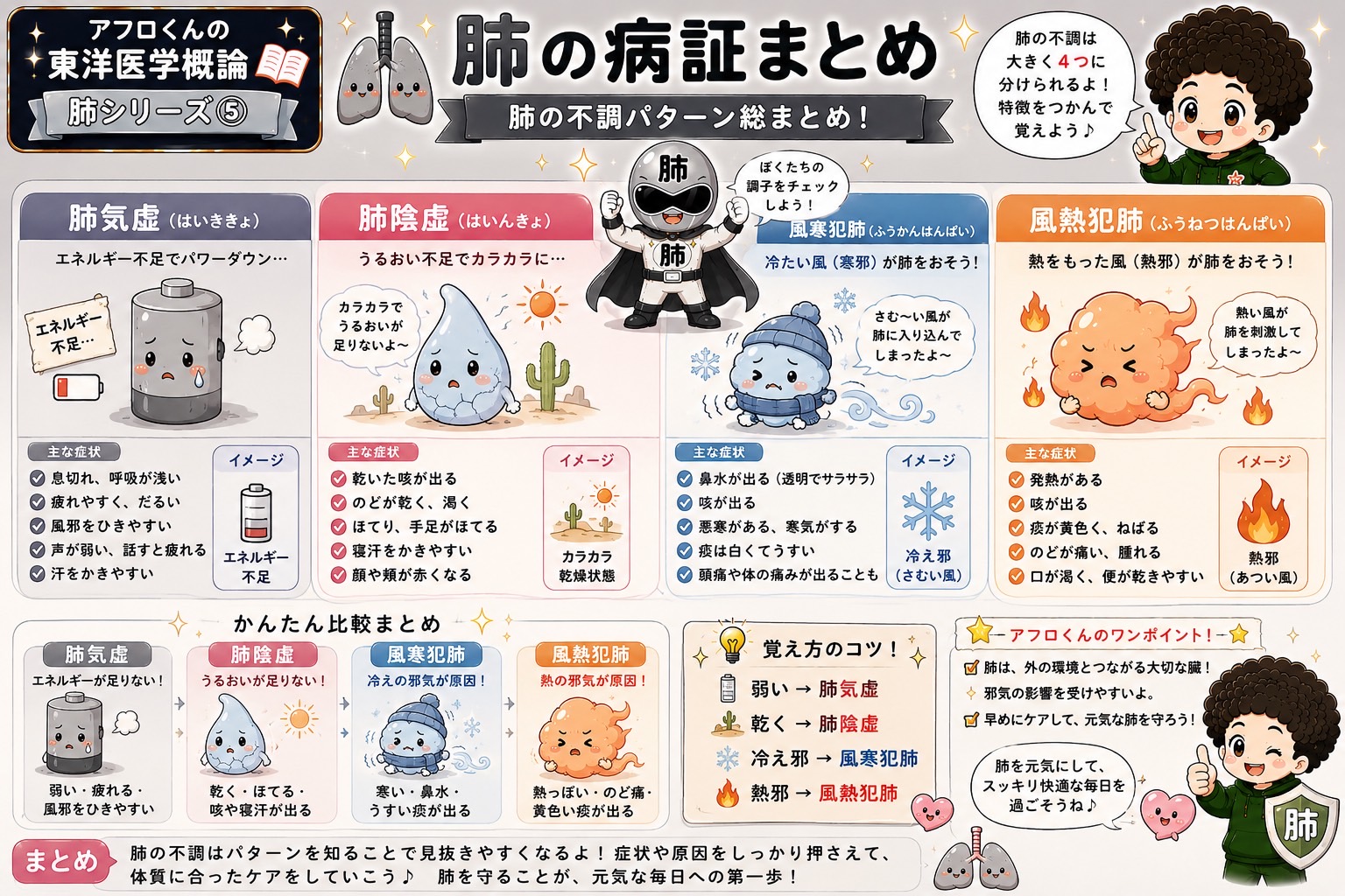 肺＝鼻・皮毛・悲(憂)・水：外との境界を守るつながり