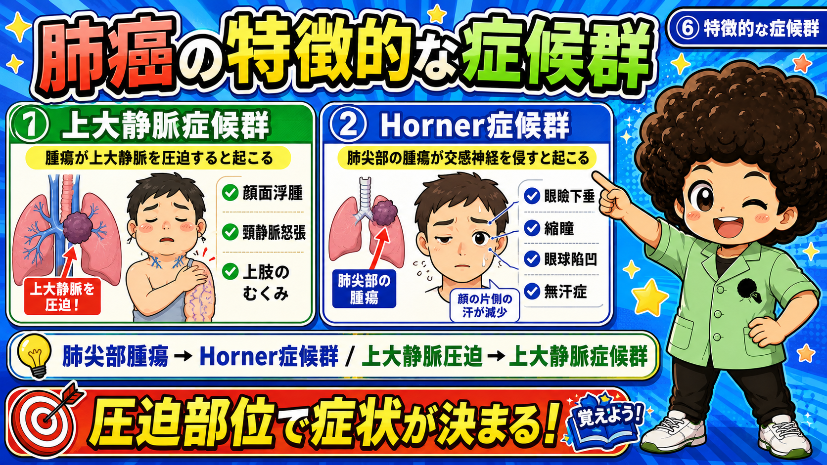 肺尖部腫瘍はHorner症候群、上大静脈の圧迫は上大静脈症候群を引き起こす