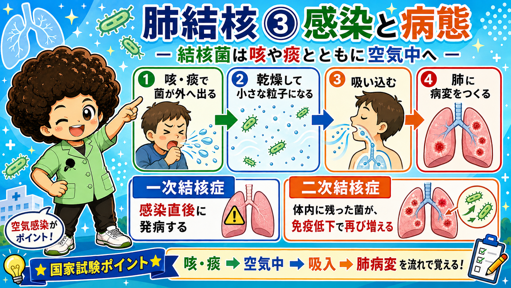 結核菌は咳・痰で外へ出て乾燥・粒子化し、吸入されて肺に病変をつくる。