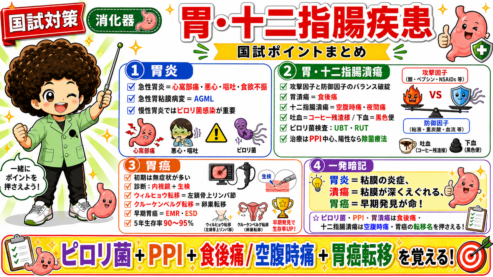 胃・十二指腸疾患の国試ポイントまとめ(胃炎・潰瘍・胃癌の比較)