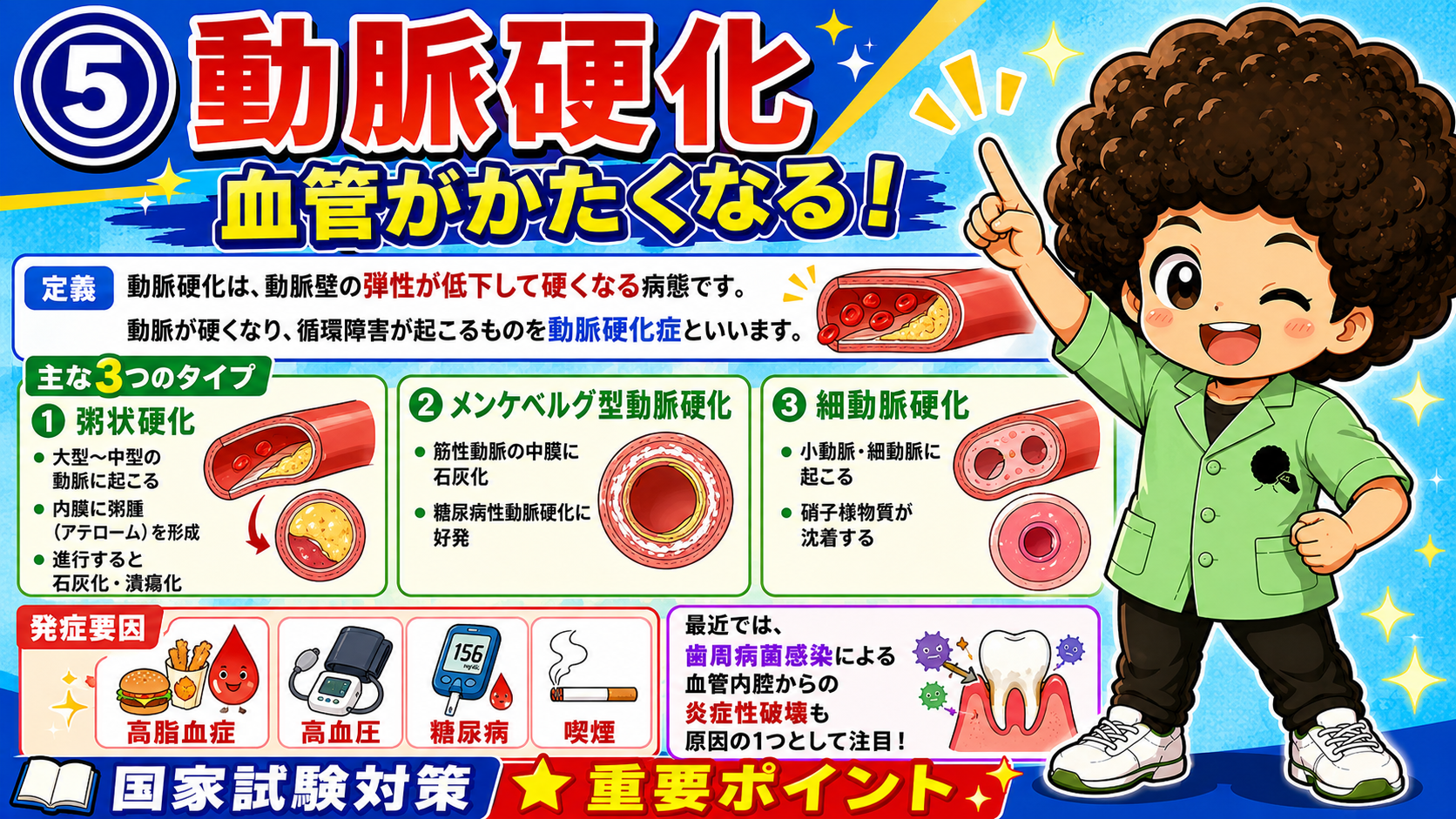 動脈硬化の3タイプ。粥状硬化は内膜、メンケベルグ型は中膜、細動脈硬化は硝子様物質沈着