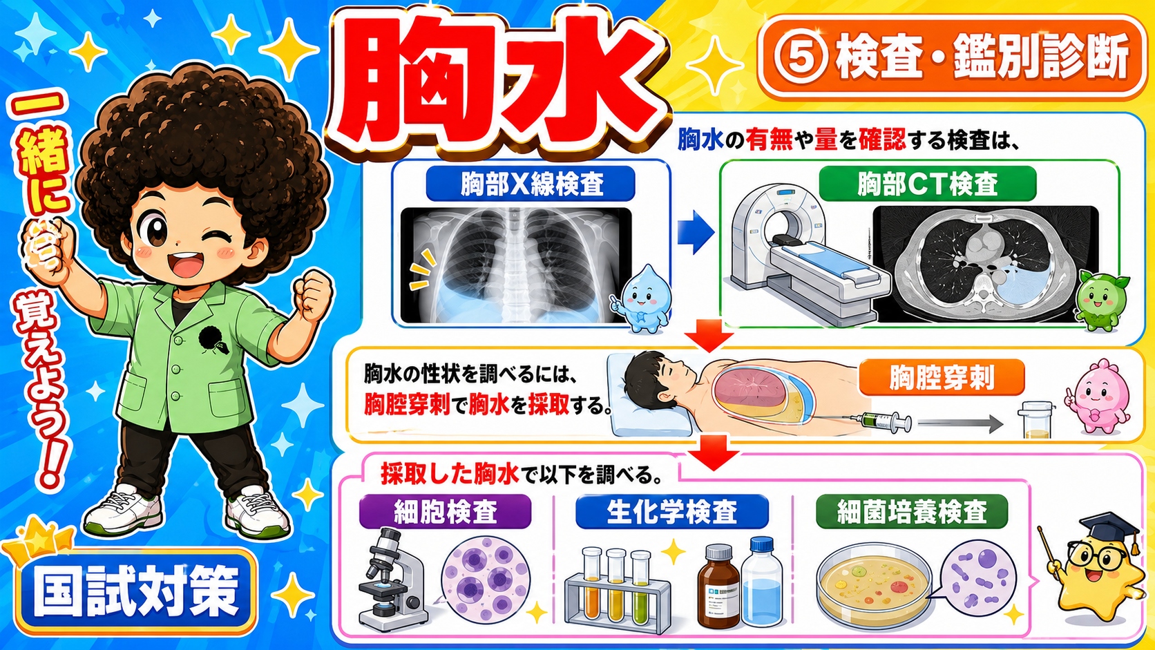 胸水の検査（胸部X線・CT・胸腔穿刺）
