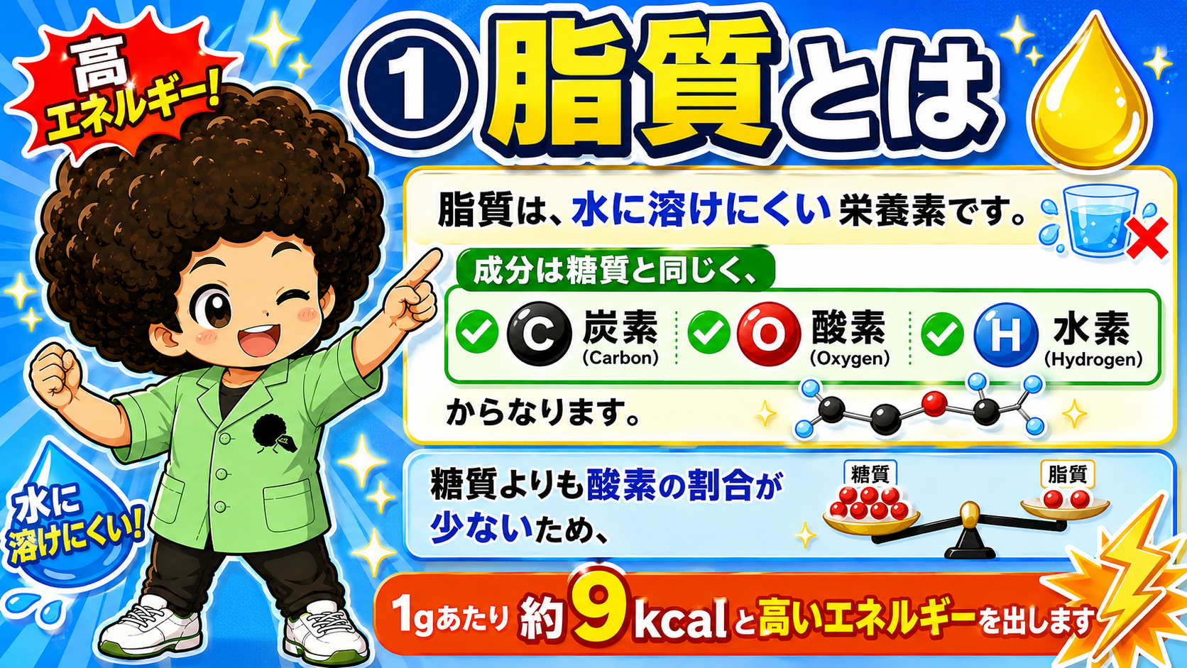 脂質の働き｜脂質の働き 1
