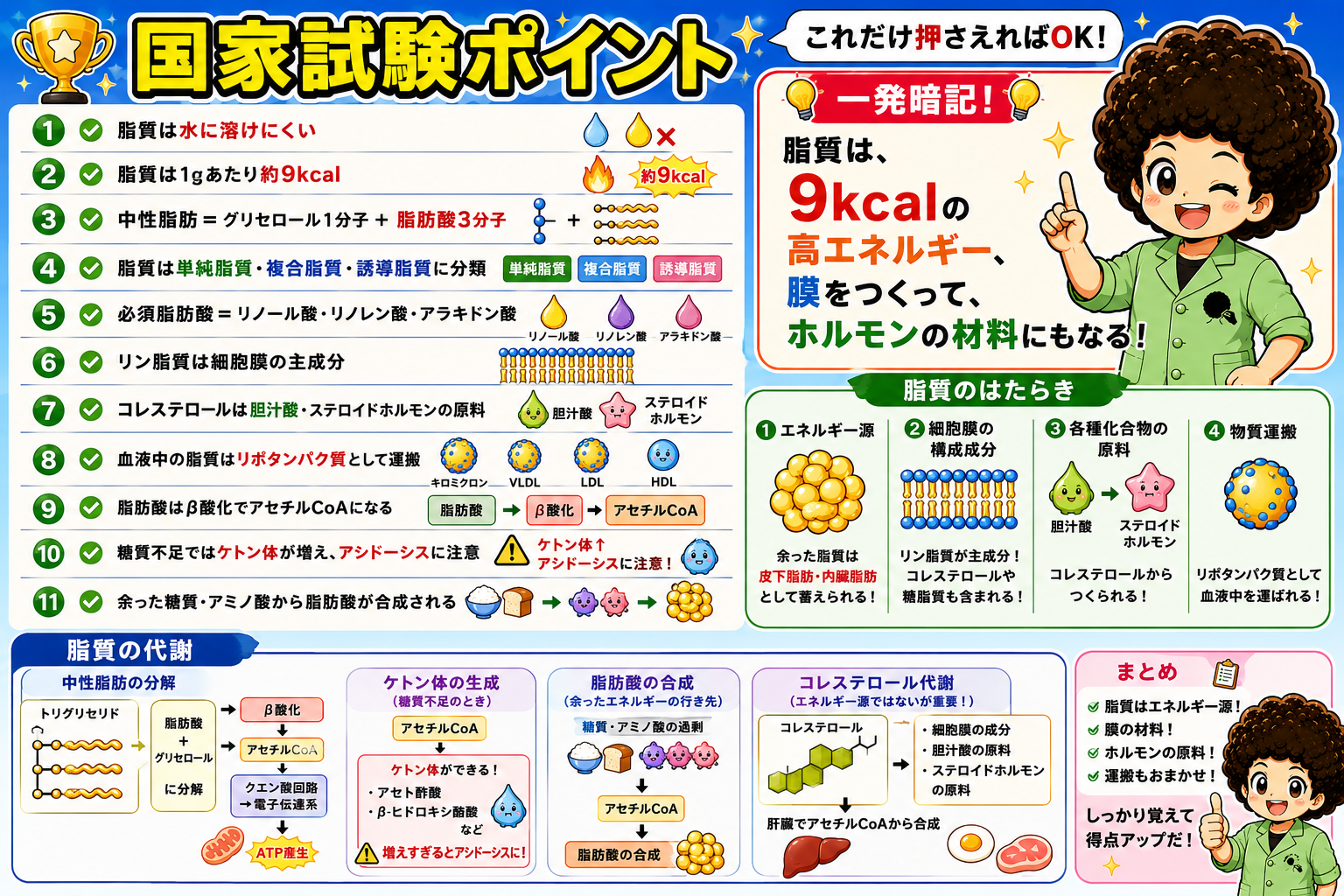 国家試験ポイント11項目と脂質のはたらきまとめ