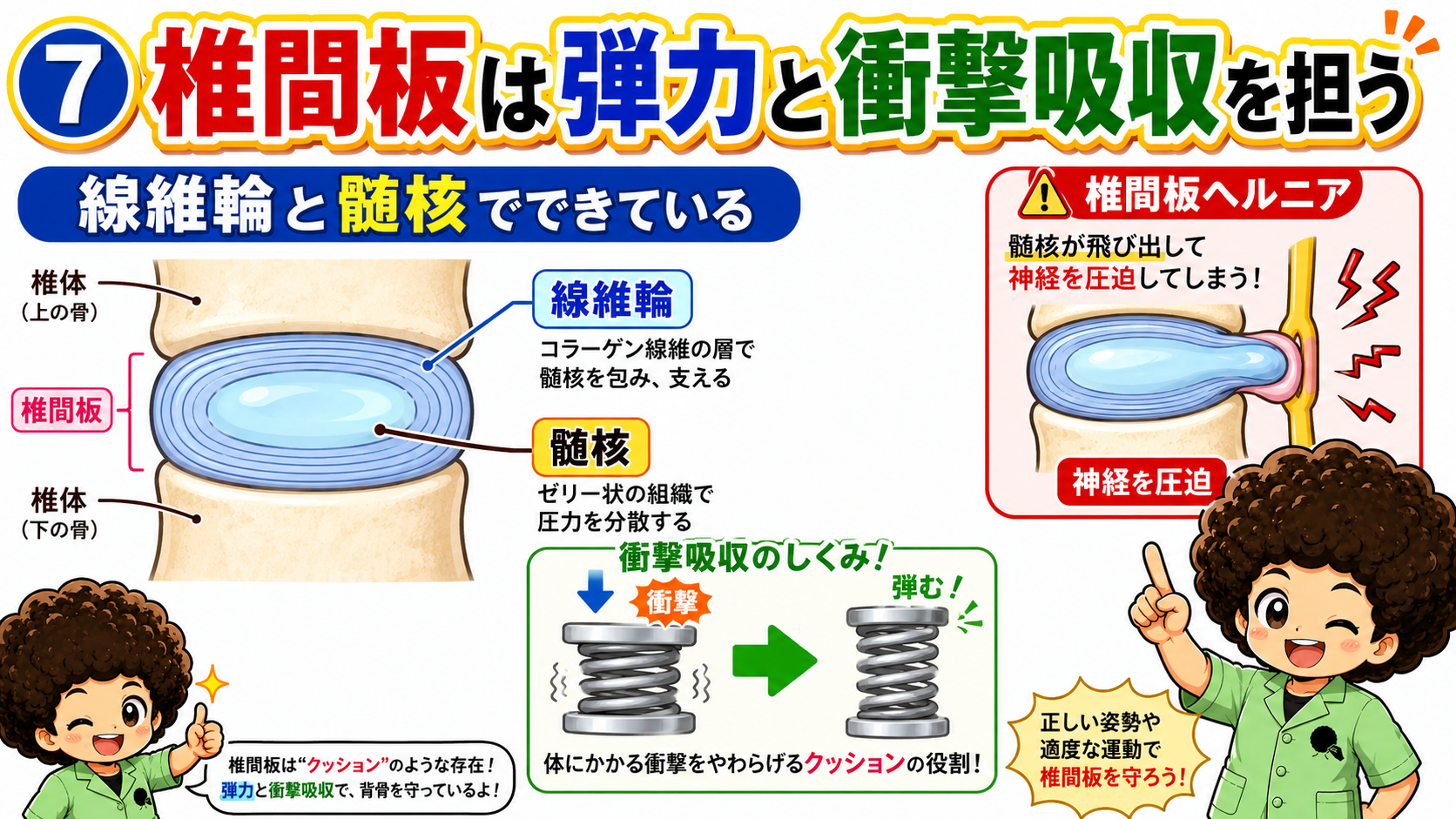 椎間板は線維輪と髄核からなり、髄核脱出が椎間板ヘルニア