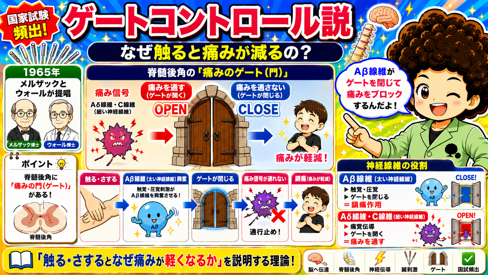 ゲートコントロール説：脊髄後角の痛みのゲートとメルザック・ウォール