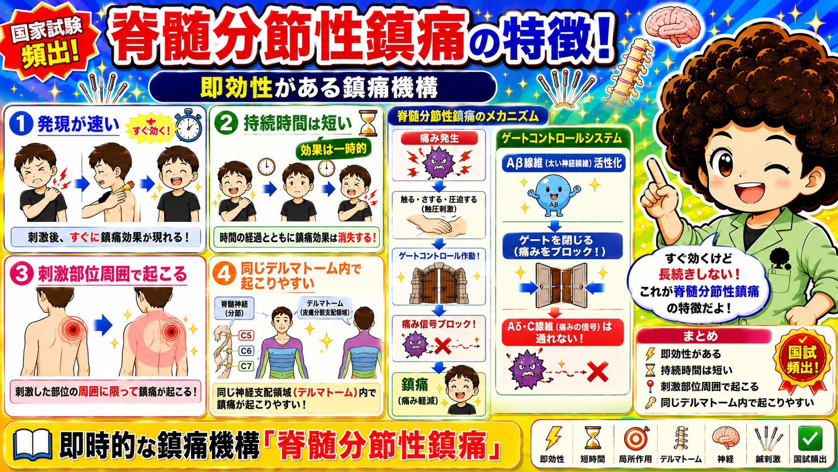 脊髄分節性鎮痛の特徴：即効性・短時間・局所作用・同一デルマトーム