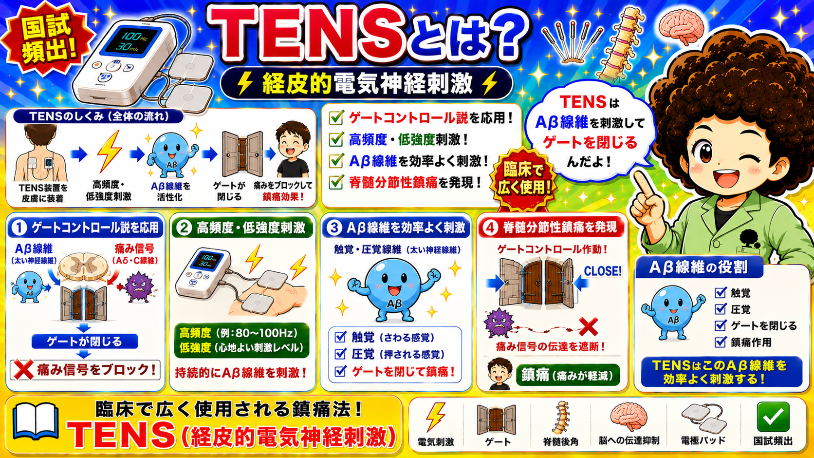 TENS（経皮的電気神経刺激）：高頻度80〜100Hz・低強度でAβ線維を刺激
