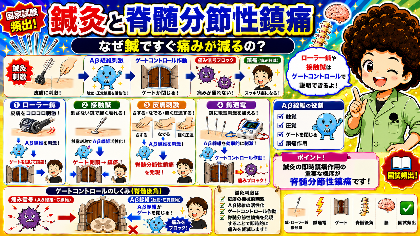 鍼灸と脊髄分節性鎮痛：ローラー鍼・接触鍼・皮膚刺激・鍼通電