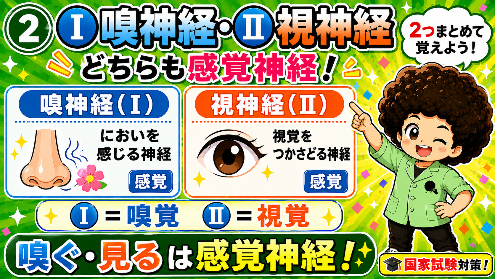 Ⅰ＝嗅覚、Ⅱ＝視覚。嗅ぐ・見るはどちらも感覚神経