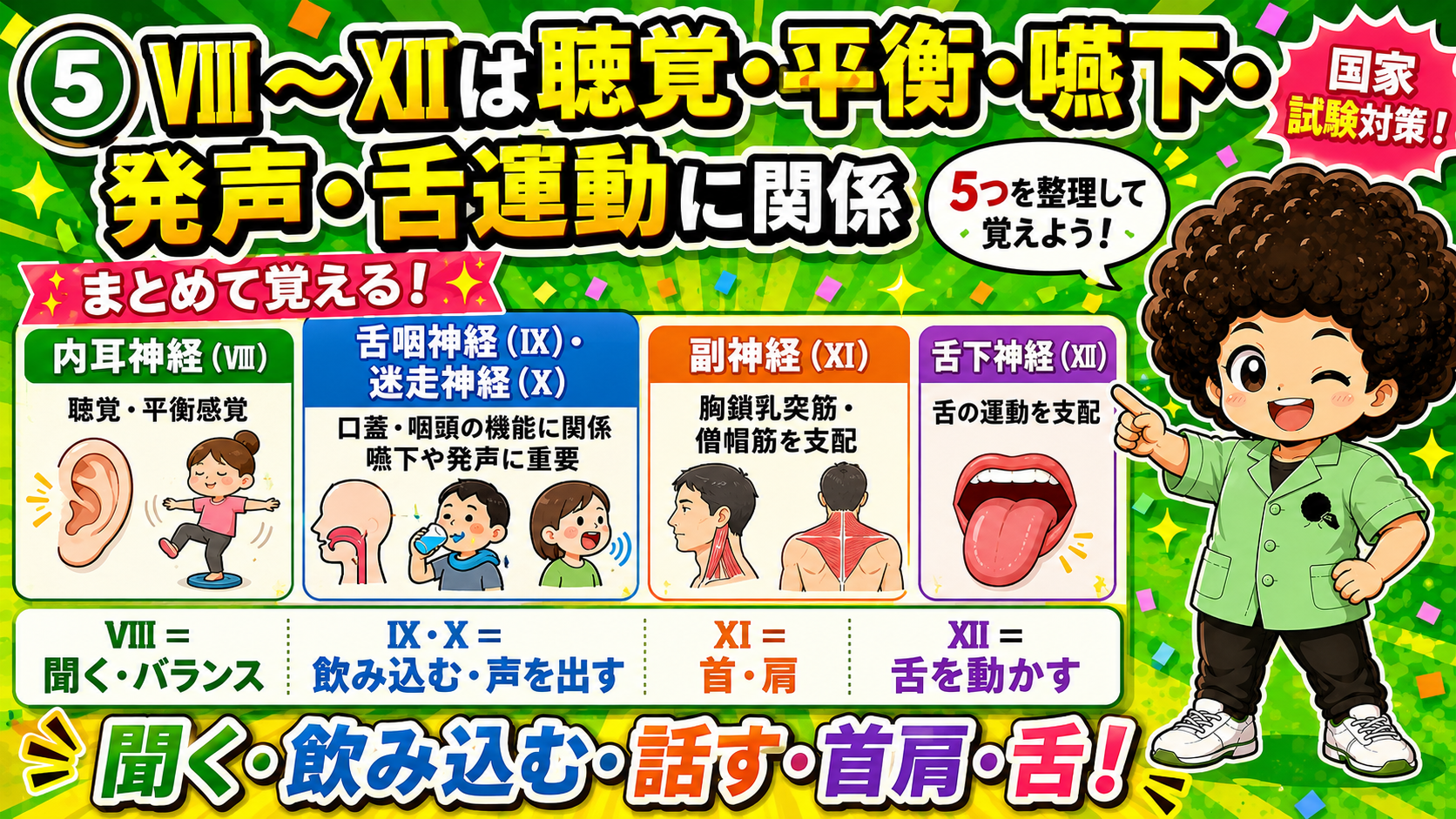 Ⅷ＝聞く・バランス、Ⅸ・Ⅹ＝飲み込む・声を出す、Ⅺ＝首肩、Ⅻ＝舌