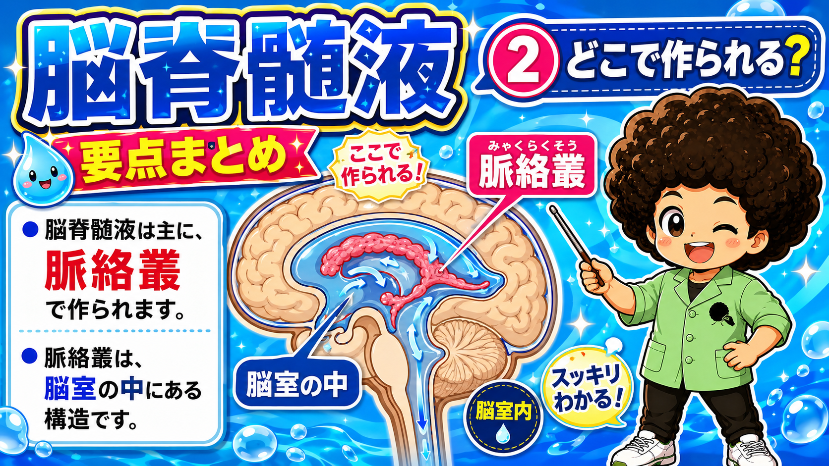 脳脊髄液は脳室の中にある脈絡叢で作られる