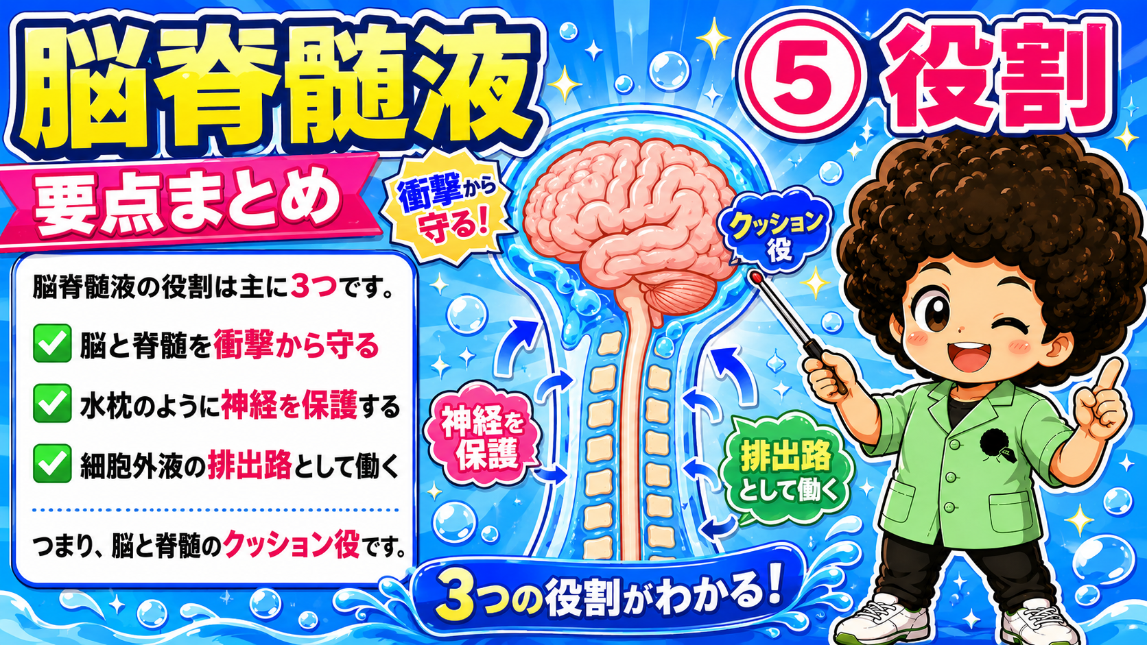 脳脊髄液の3つの役割＝衝撃から守る・水枕のように保護する・細胞外液の排出路