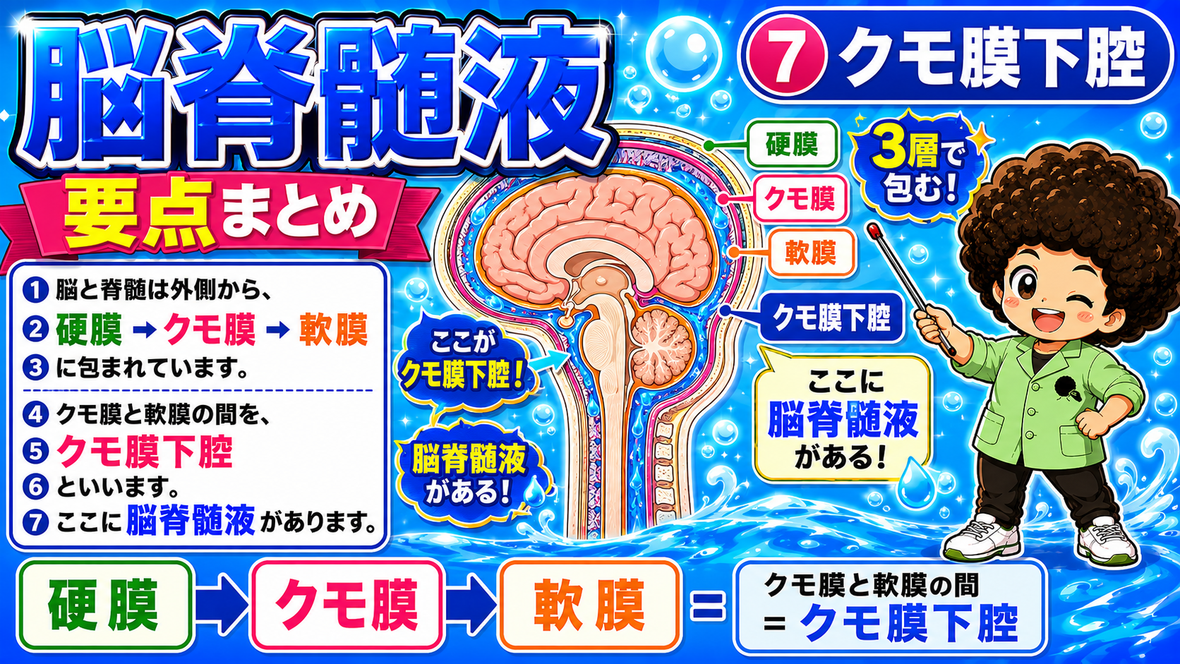 外側から硬膜→クモ膜→軟膜。クモ膜と軟膜の間＝クモ膜下腔に脳脊髄液がある