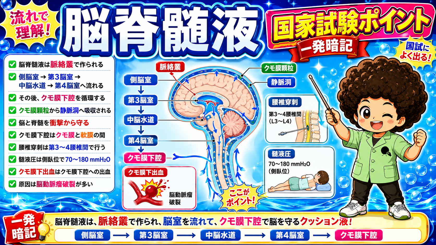 脳脊髄液の国家試験ポイント一発暗記まとめ
