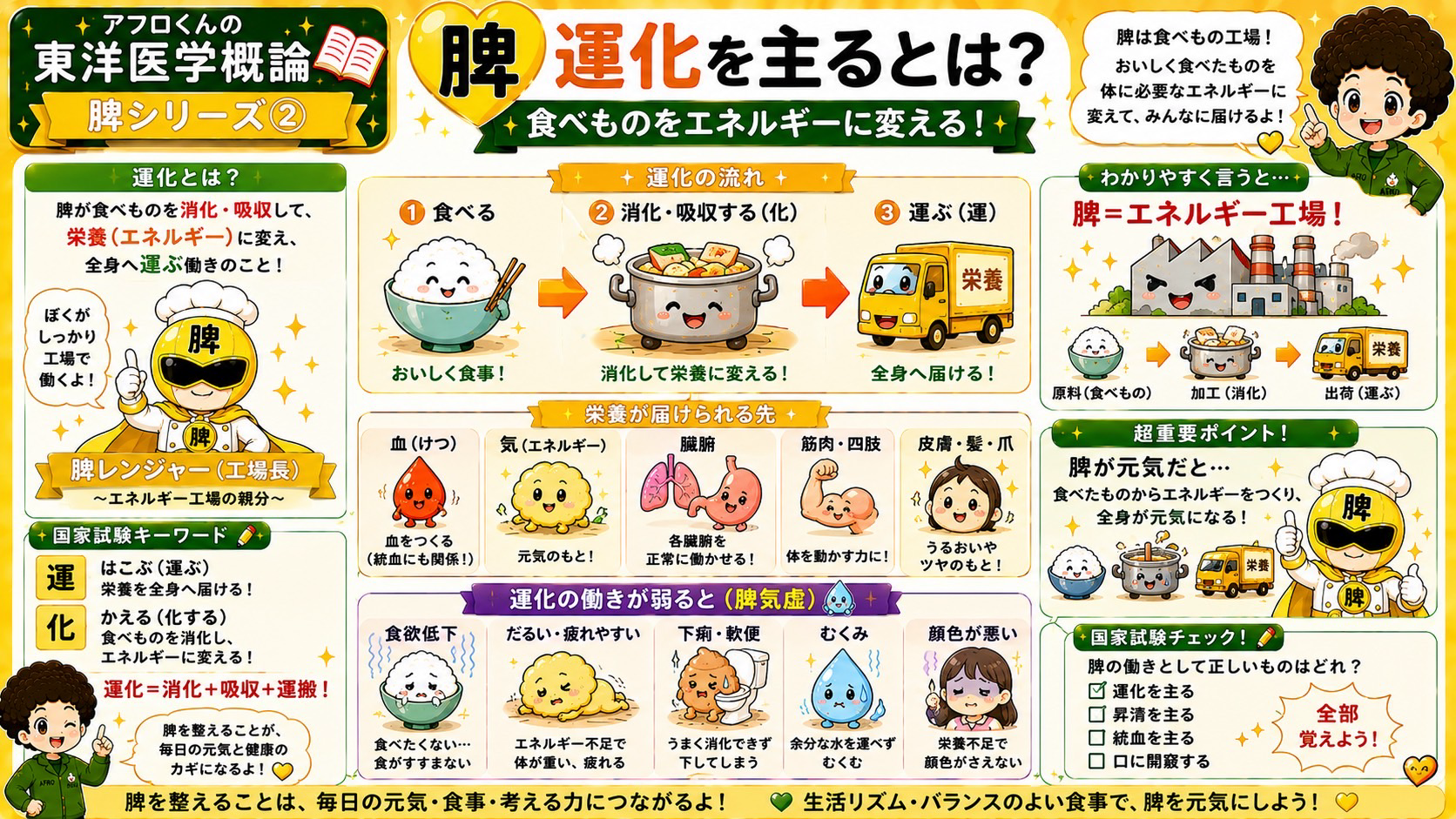 運化の流れ：食べる→消化・吸収（化）→運ぶ（運）。運化＝消化＋吸収＋運搬