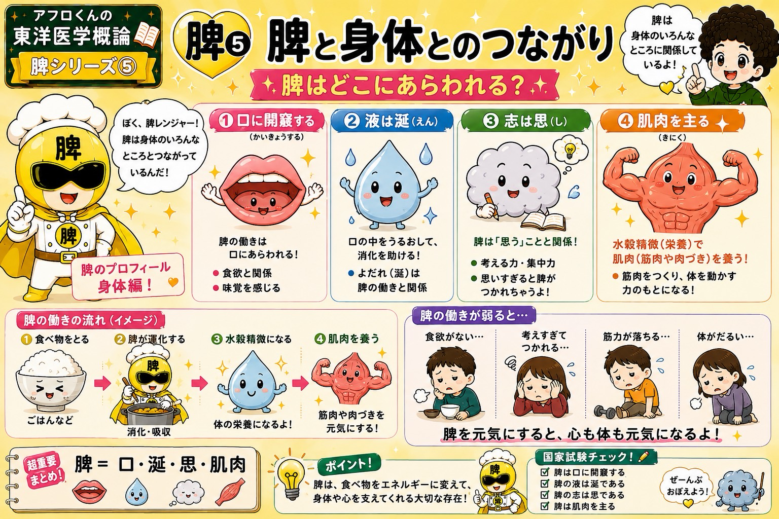 脾と身体のつながり：口に開竅・液は涎・志は思・肌肉を主る